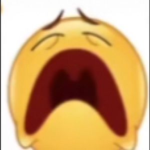 Meet your Posher, Amelia